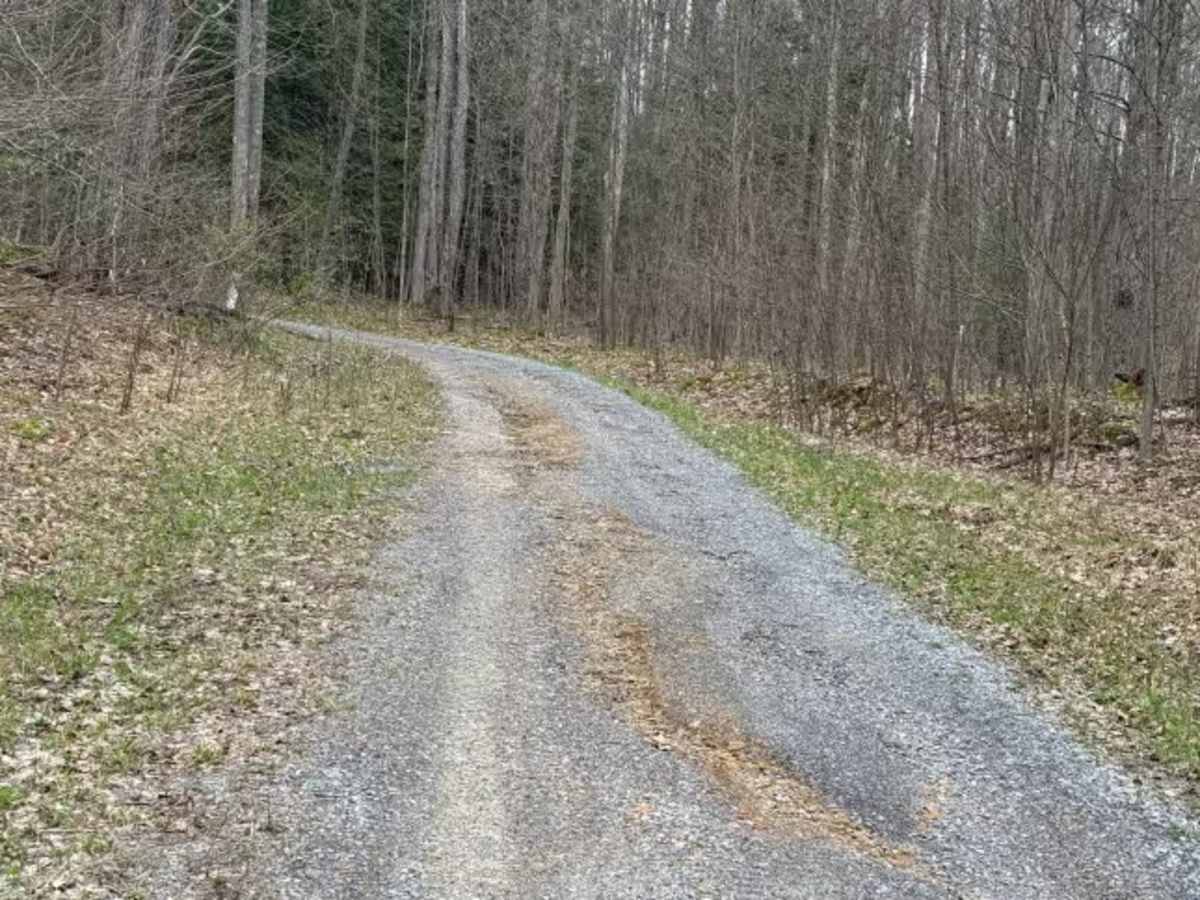 Hemlock Run - FS 267 photo 5
