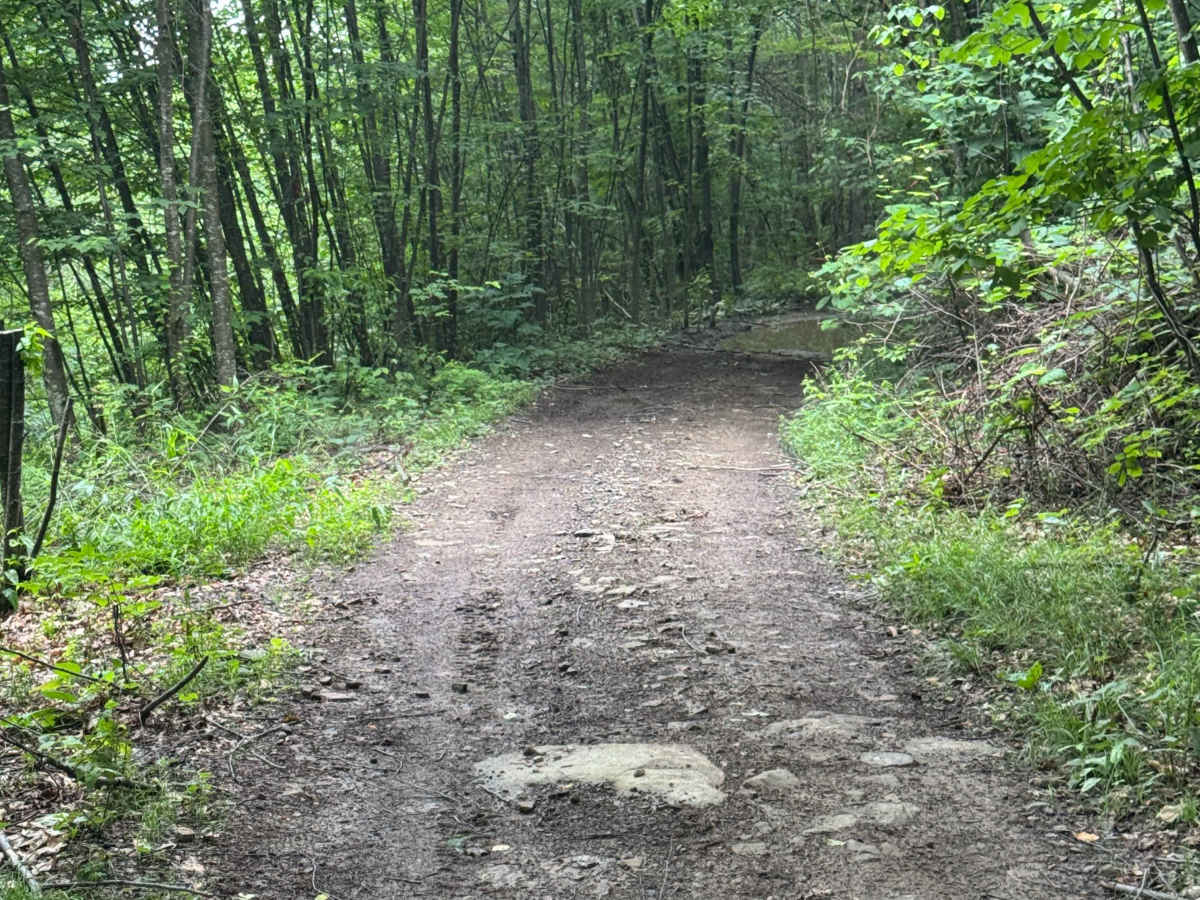 Trail 84 photo 5