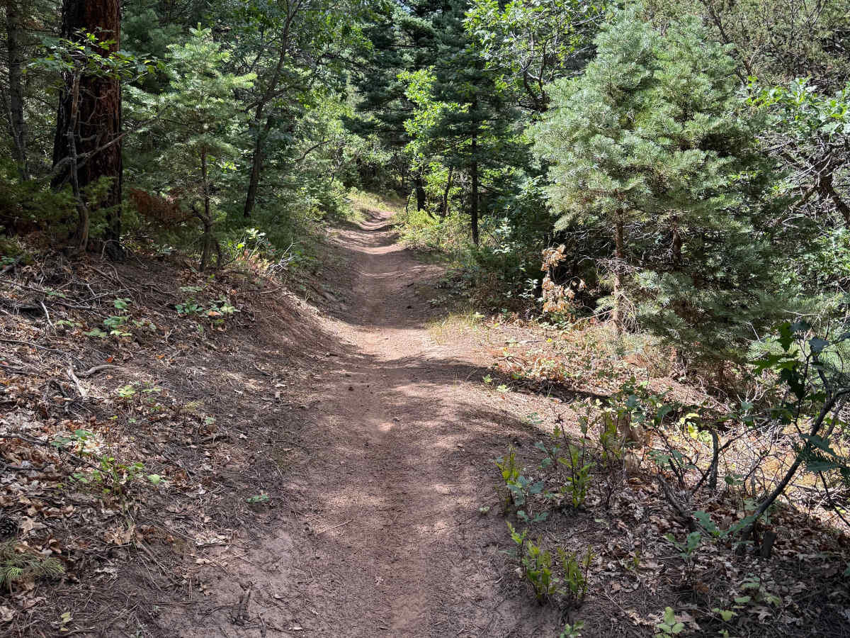 Rainbow Trail photo 5
