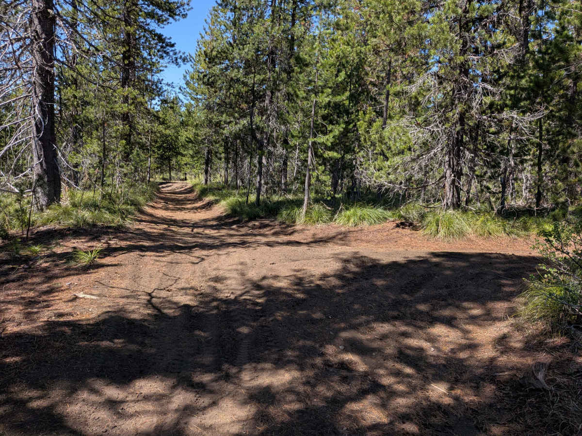 Santiam OHV 13 photo 6