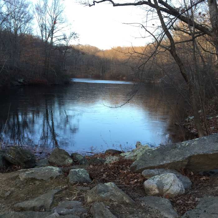 Near Devils Den Nature Preserve Perimeter