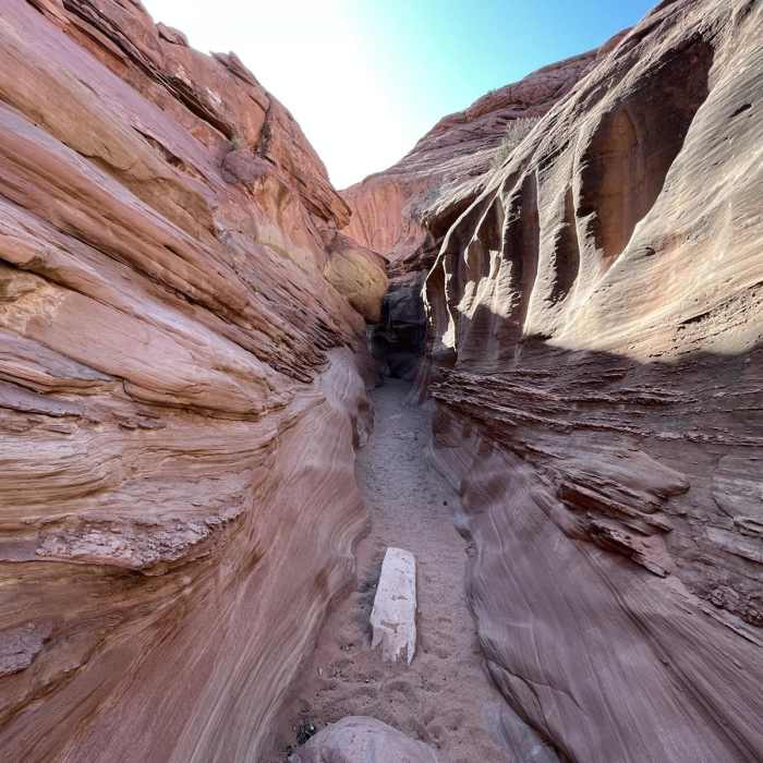 Near Upper Dry Fork Loop