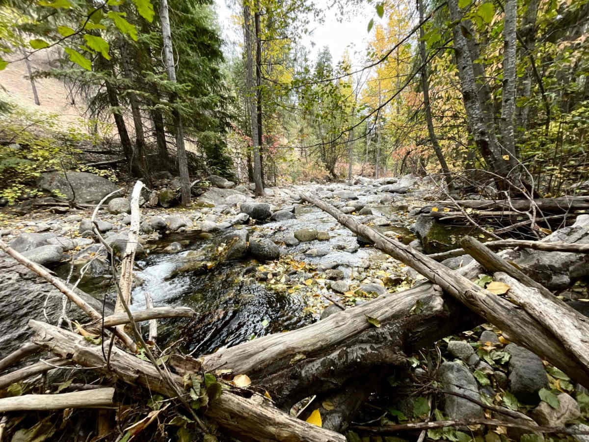 North Fork Gold Creek trail photo