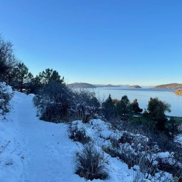 Near Nature Trail Loop