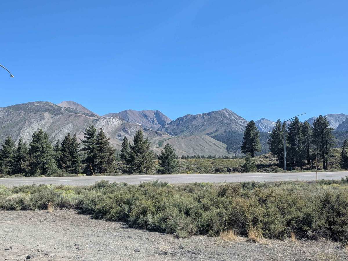 Sawmill Road trail photo