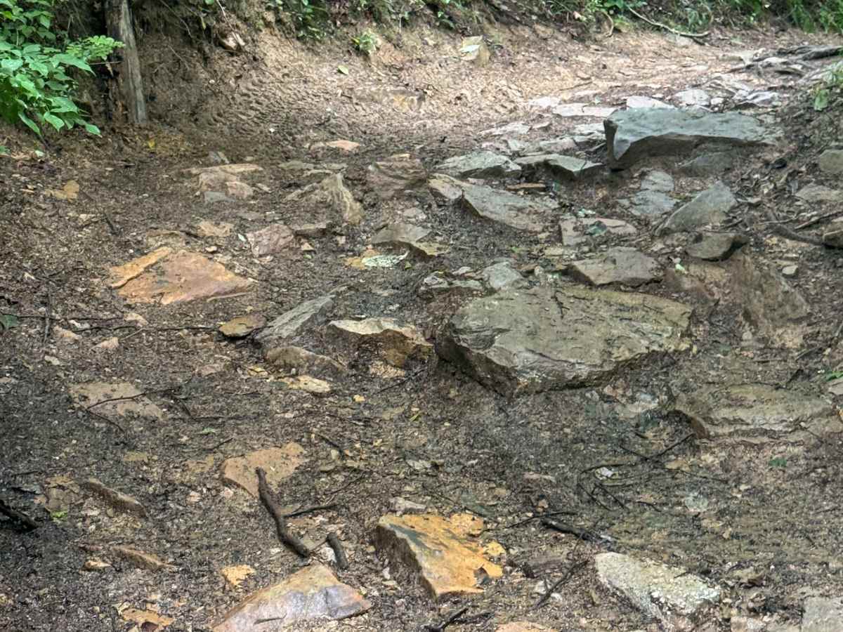 Trail 67 photo 4