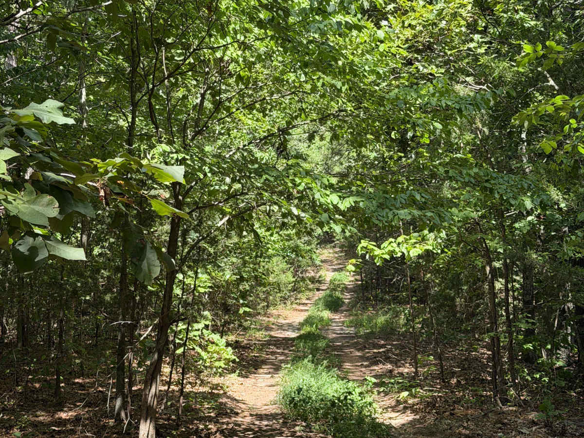 Cockran Road photo 3