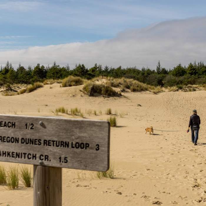 Near Oregon Dunes Loop Hike