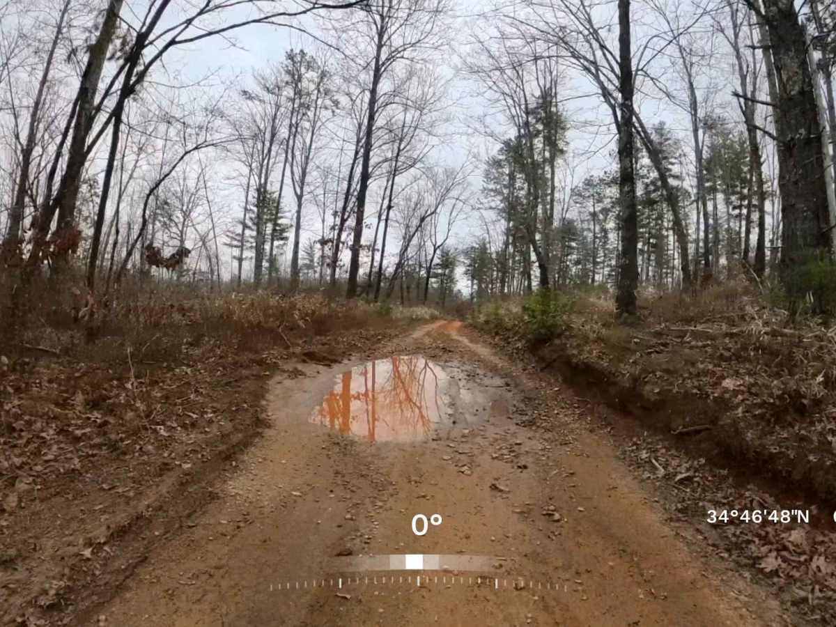 Water Gauge Road - FS 511 photo 6