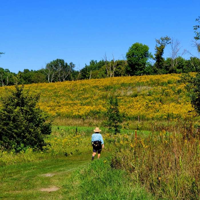 On the hiker/horse trail in mid-summer. Near Lake Rebecca SW Loop