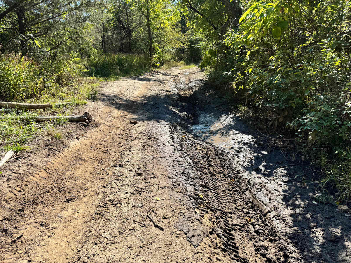 Torque Spec Trail photo 3