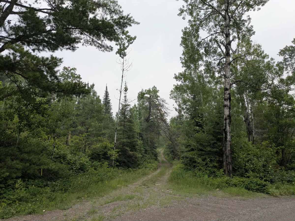 McDougal Lake photo 5