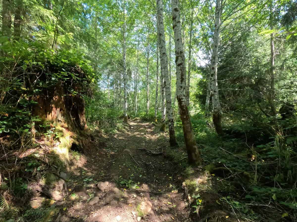 Sasquatch Hills Trail photo 3