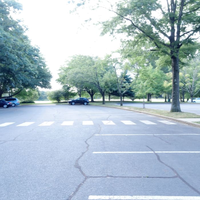 Near Holmdel Park X-Country Loop