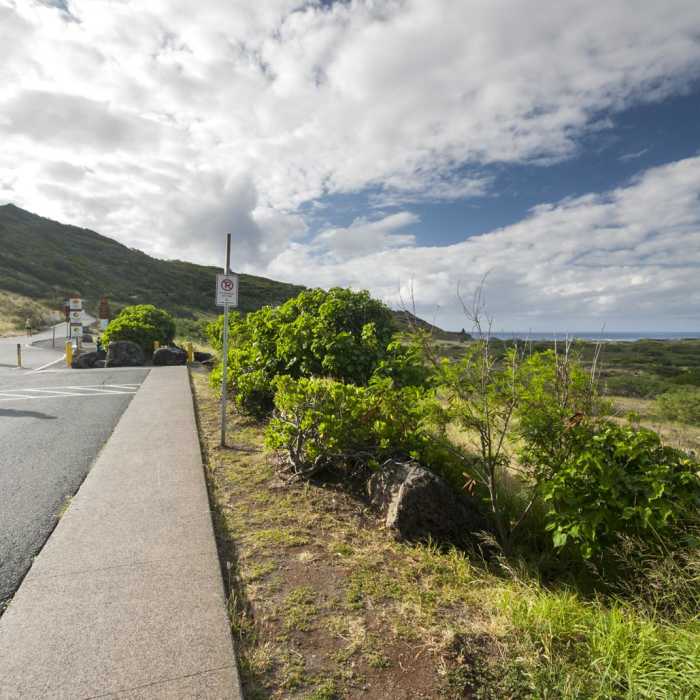 Near Makapu'u Point + Lighthouse Hike