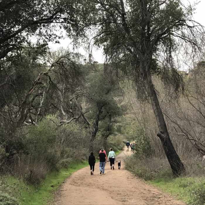 Near Blue Sky Ecological Reserve