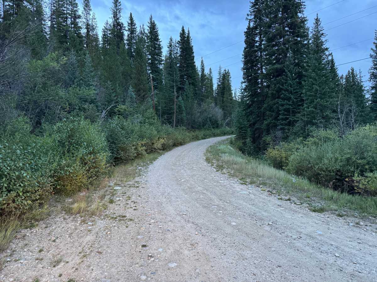 Chapman Gulch Road trail photo