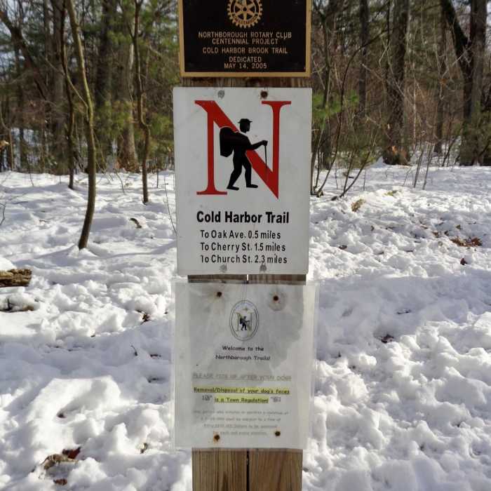 Near Cold Harbor Trail