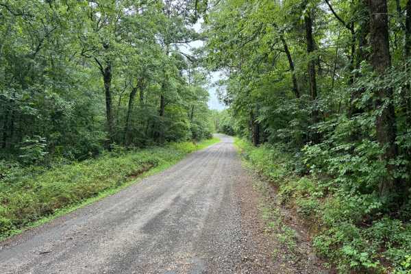 Gaston Road