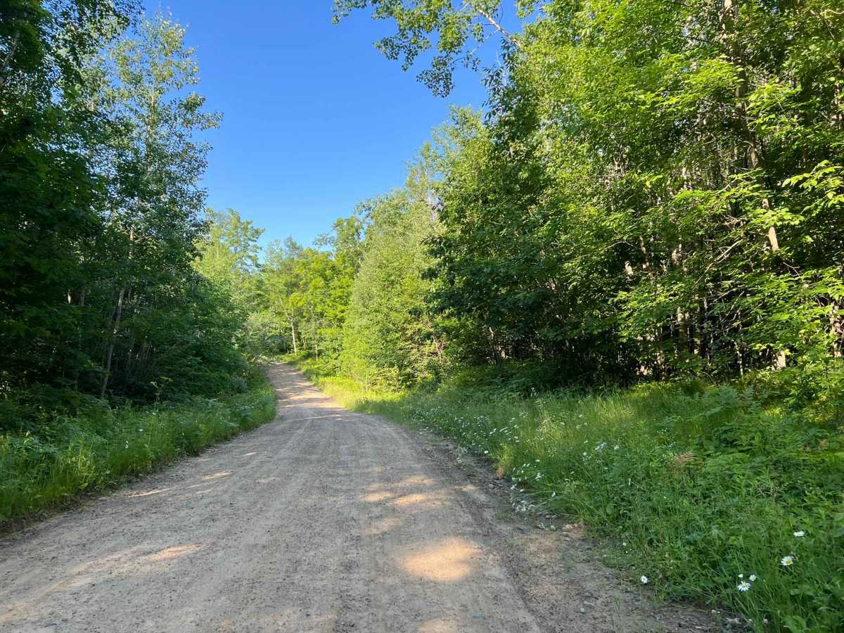 Star Lake Road photo 4