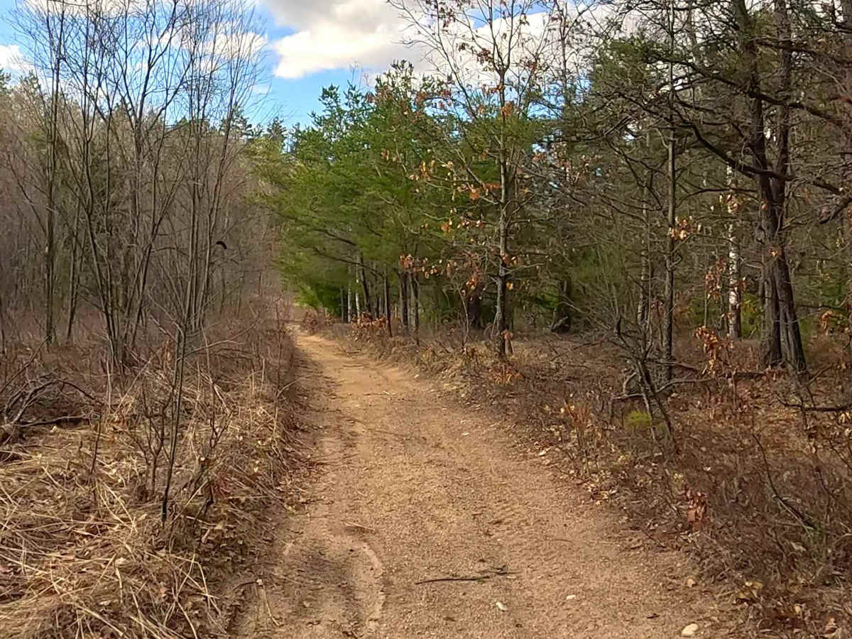ORV H-57 : Bull Gap Hill Climb - Secondary Return Loop <50" photo 3