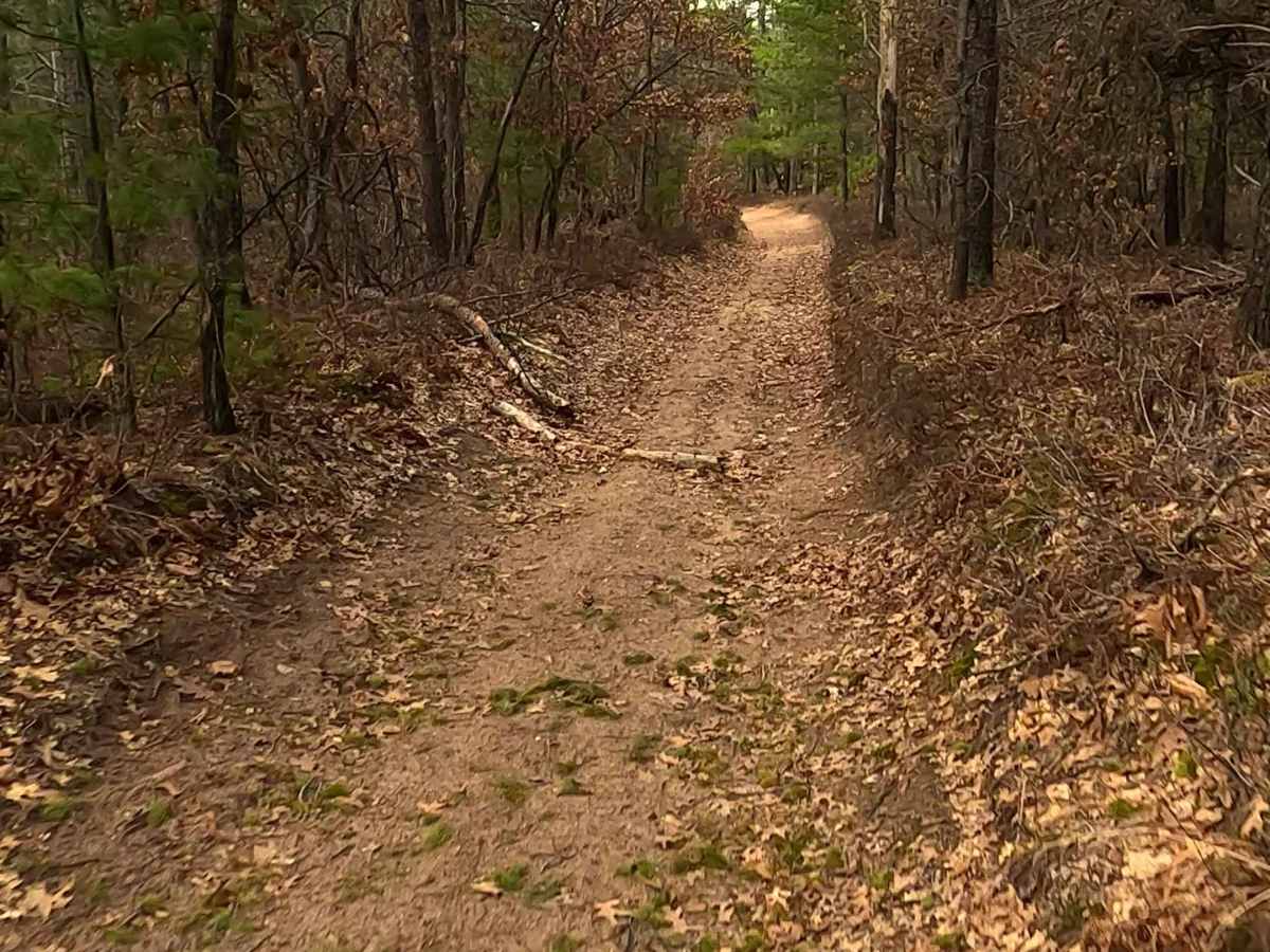 Woods - FS 4330 photo 5