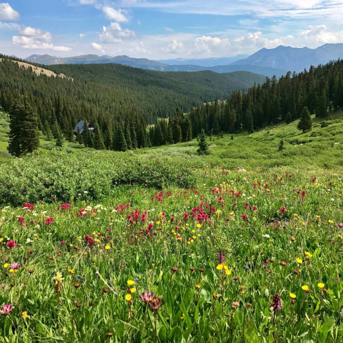 Looking towards Janet's Cabin nestled in the trees below Searle Pass. Near Colorado Trail: Copper Mountain to Camp Hale
