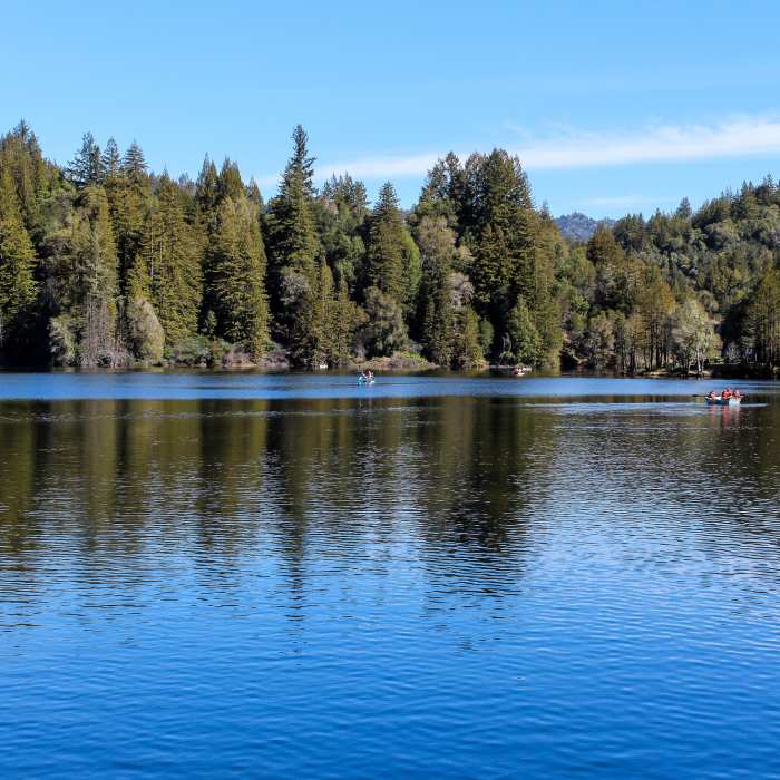 Near Loch Trail