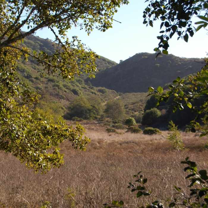 Laguana trail Near Laguna