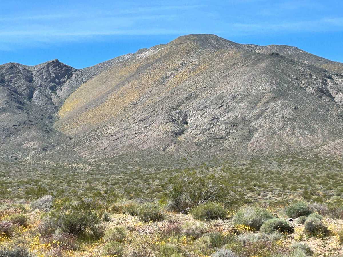 Gold Valley Road - Willow Spring Spur photo 4