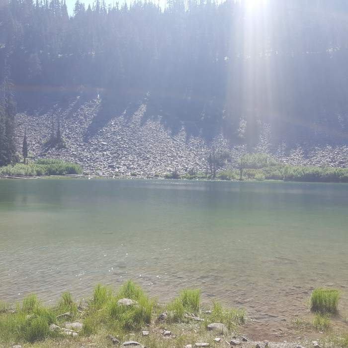 Near Boulder Lake and Bonney Meadows