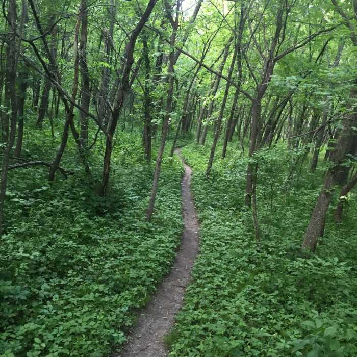 Near Ashton/Clear Creek Natural Surface