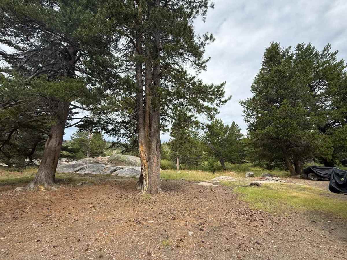 Hope Valley Campground South - FS 31081 photo 2