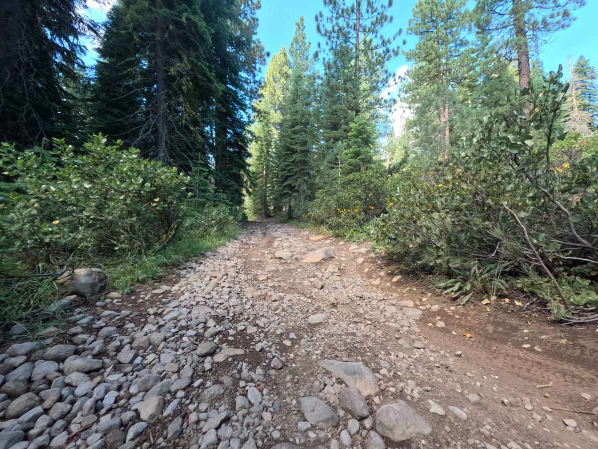 Jackass Point Spur - FS 01-003 trail photo