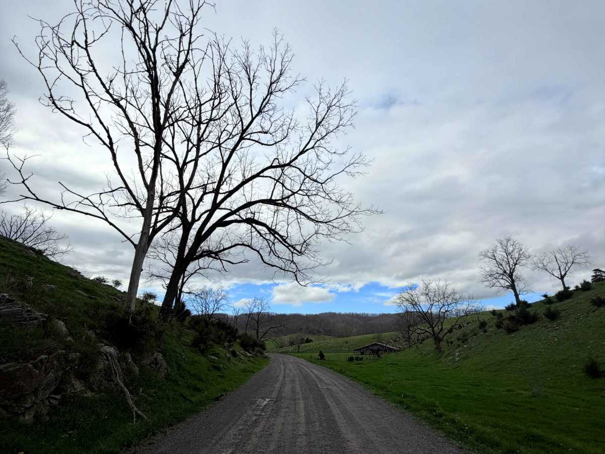 Clifton Farm Road  photo 5