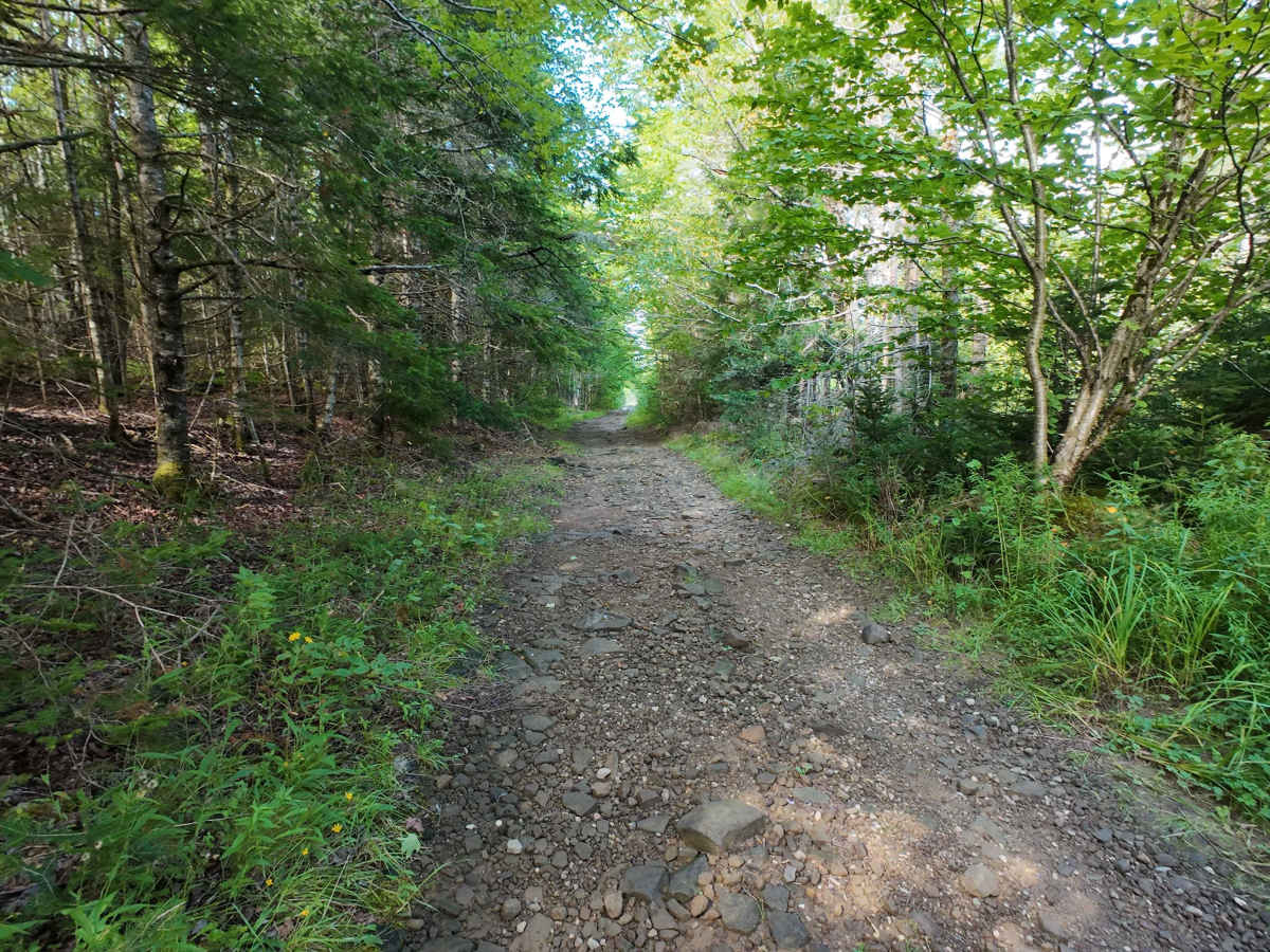 Chemical Road photo 3