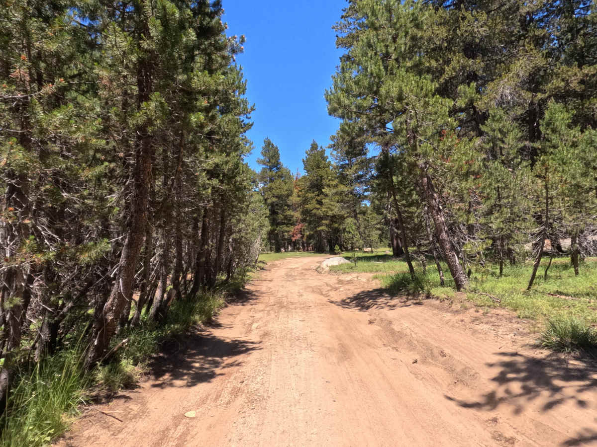 South Sucker Road - FS 11N26E trail photo
