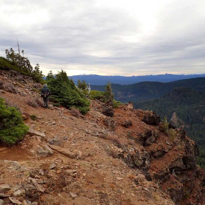 Near Rattlesnake Way Trail #1497