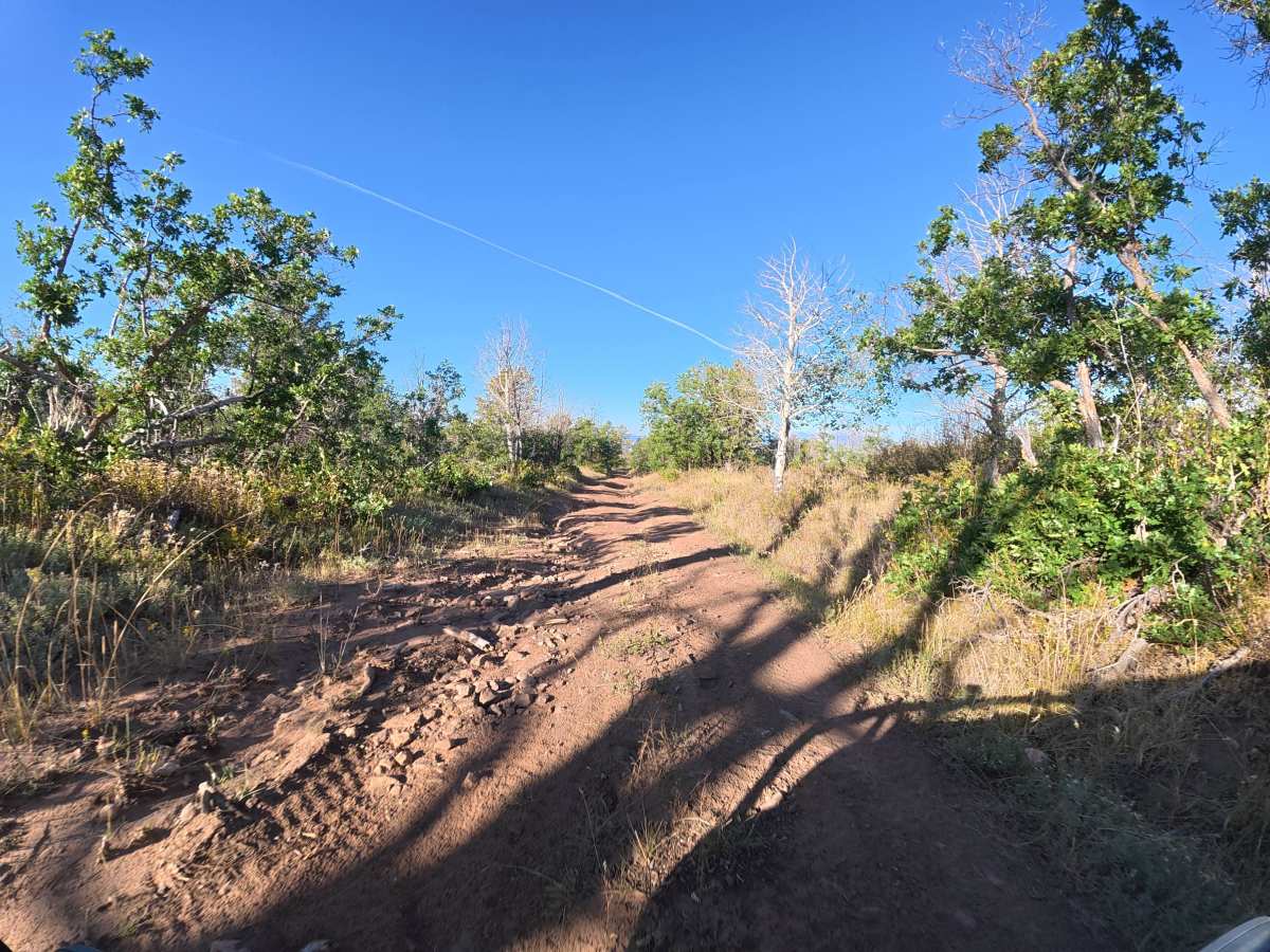 Mesa Creek Road photo 4