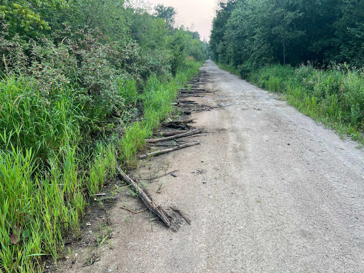 Agassiz Road photo 2