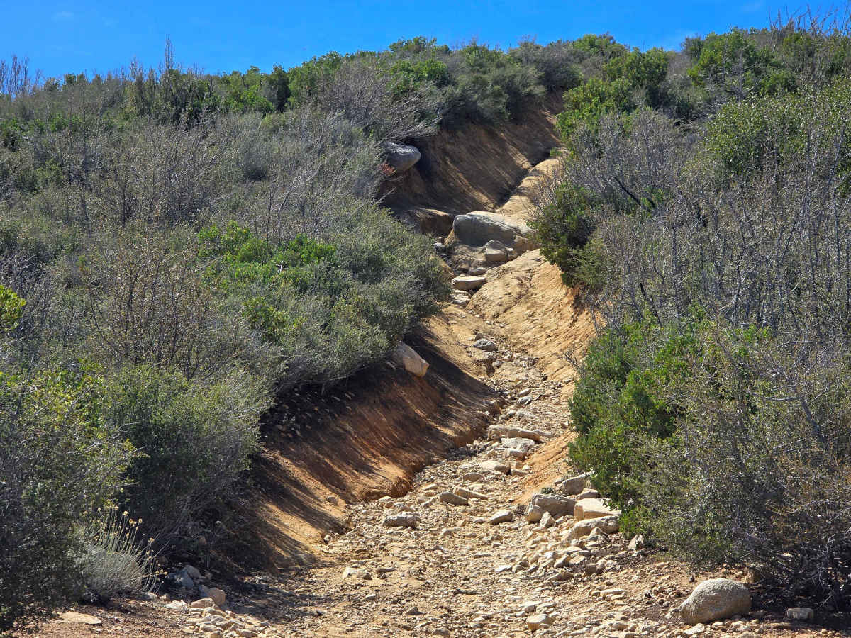 Plantation OHV Road - 2N29Y photo 4