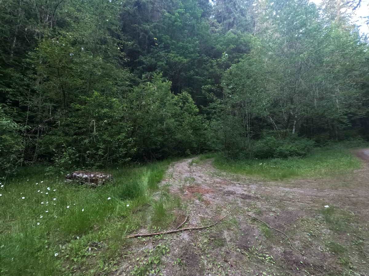 Goldhill - FS 2210 trail photo