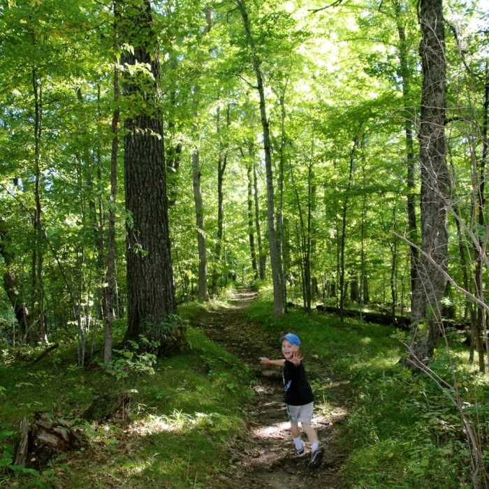 Near Ice Age Trail: Kettle Moraine Northern Unit/Cty Rd H to Mauthe Lake