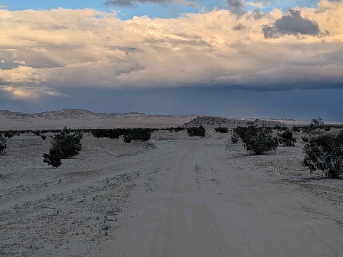BLM 200 photo 3