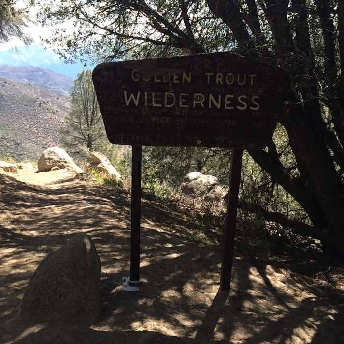 Near Forks of the Kern (33E20)