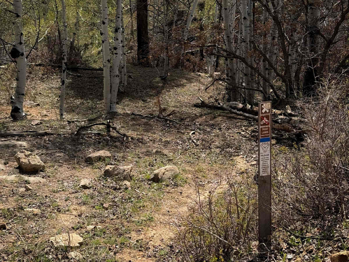 Trust Lands Singletrack (South)  photo 5