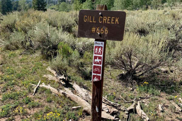 Gill Creek Loop 50"