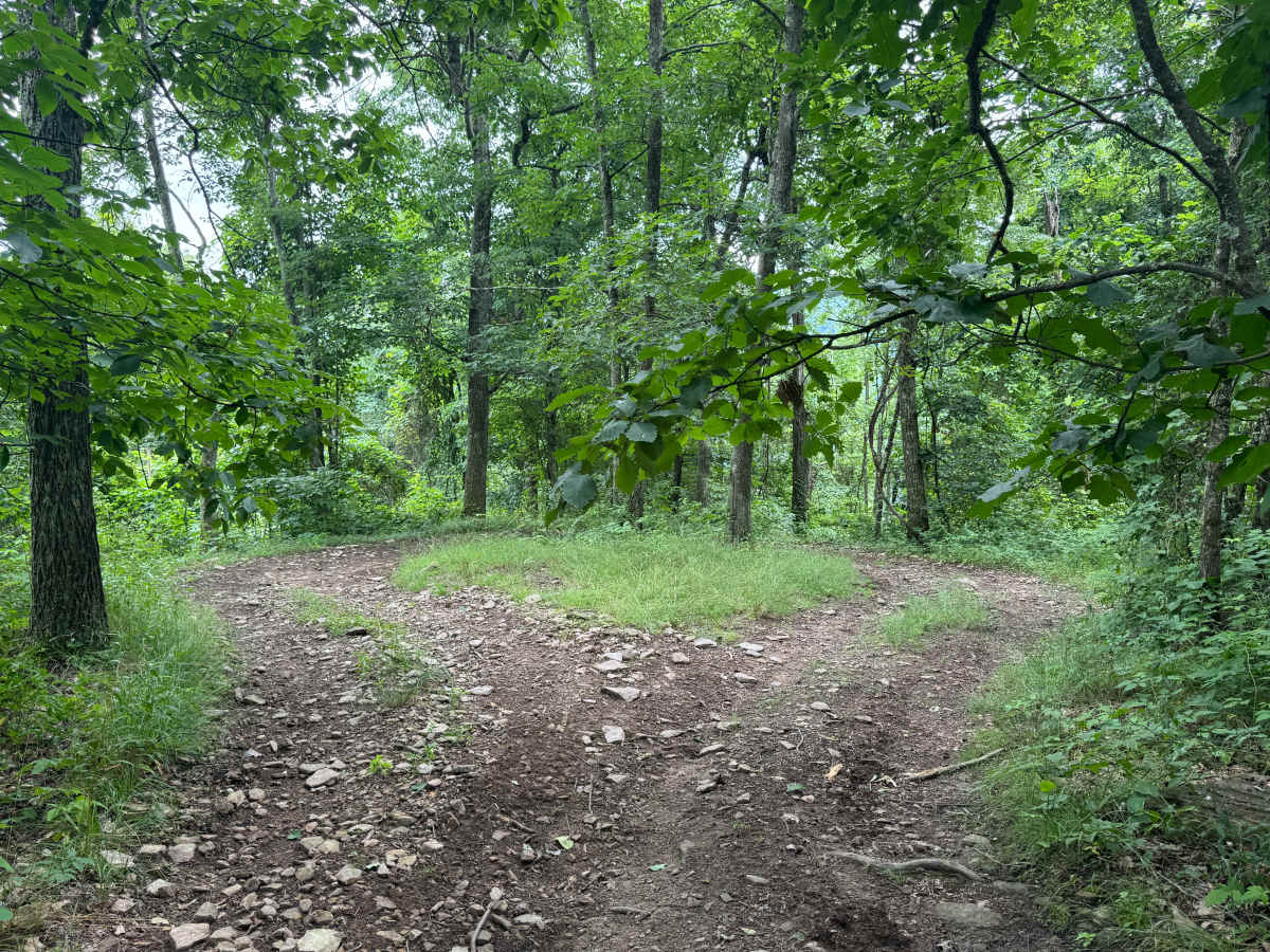 Trail 77 trail photo