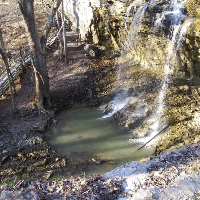 Near Waterfall Overlook Trail