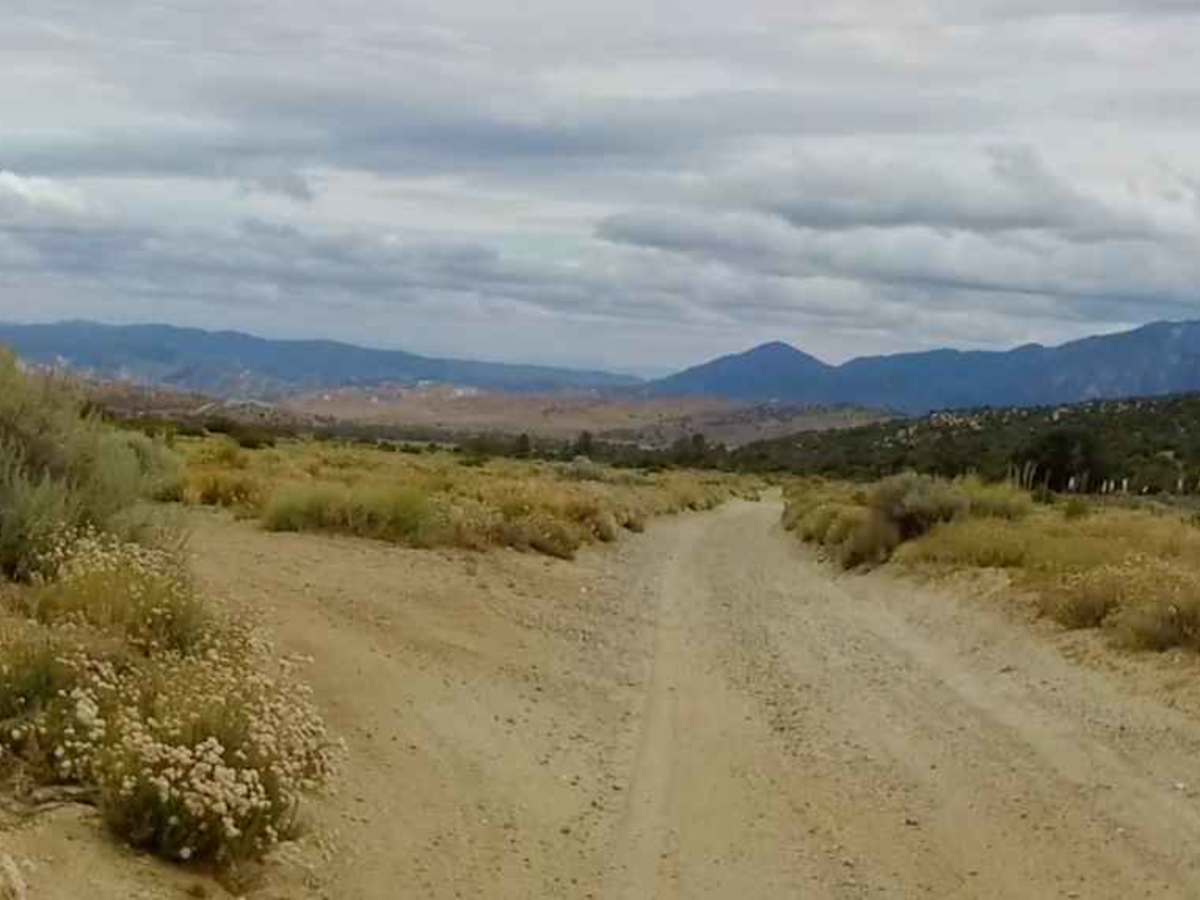 Maxey Ranch Road photo 4